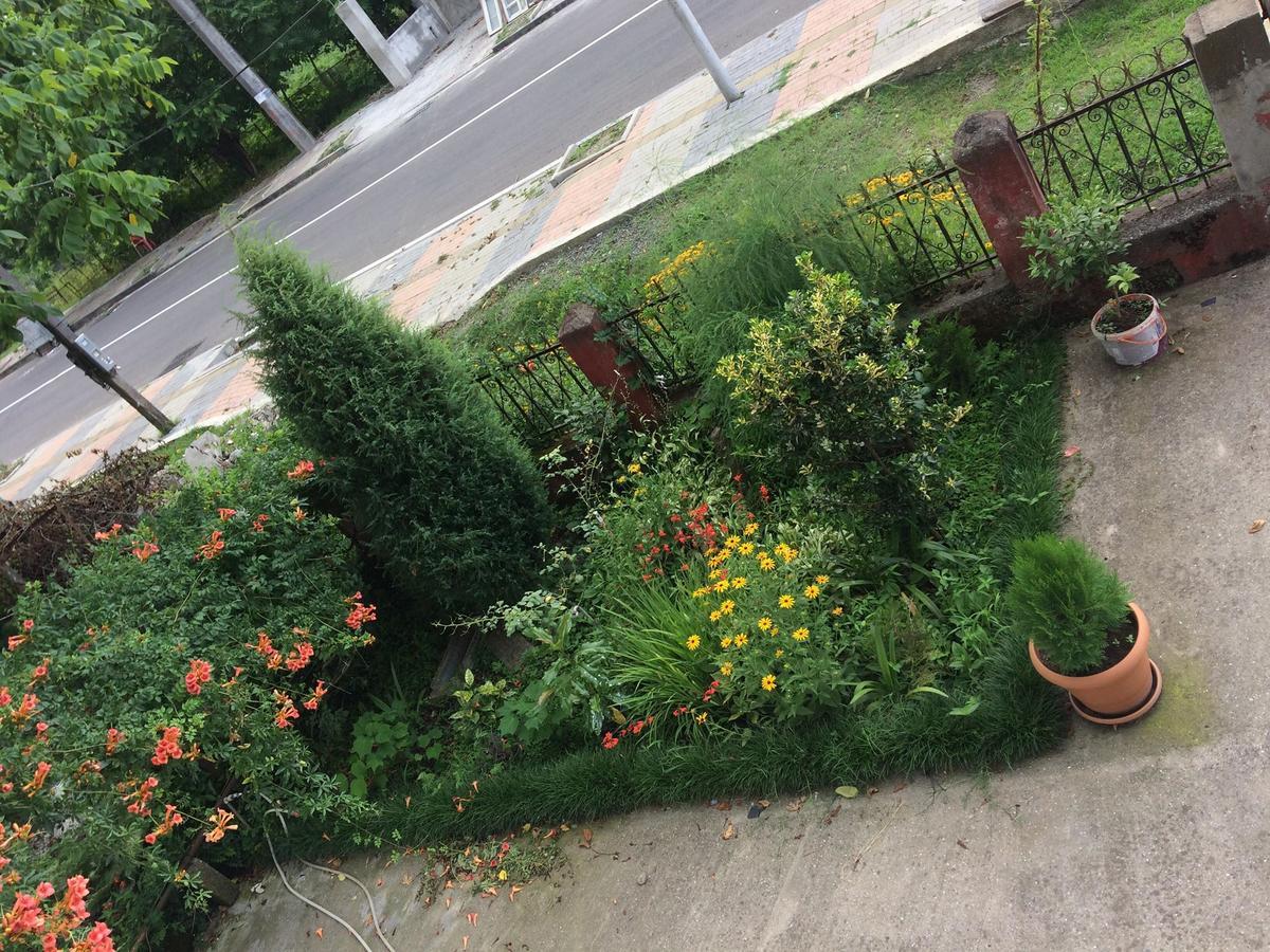 Natia Guest House Kobuleti ภายนอก รูปภาพ